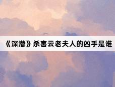 《深潜》杀害云老夫人的凶手是谁
