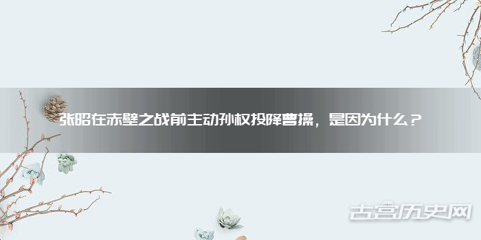 张昭在赤壁之战前主动孙权投降曹操，是因为什么？