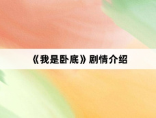 《我是卧底》剧情介绍