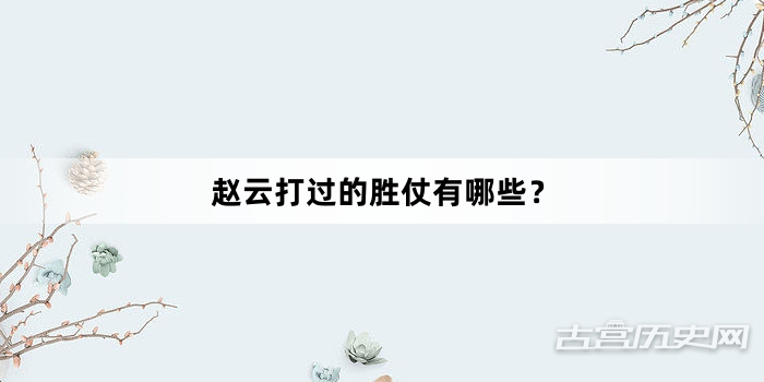 赵云打过的胜仗有哪些？
