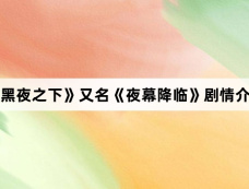 《黑夜之下》又名《夜幕降临》剧情介绍