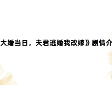 《大婚当日,夫君逃婚我改嫁》剧情介绍
