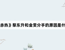 《赤热》黎东升和金雯分手的原因是什么