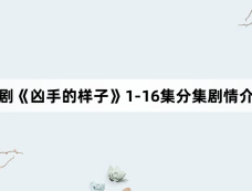 网剧《凶手的样子》1-16集分集剧情介绍