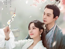 《柳叶摘星辰》剧情百科(已完结)