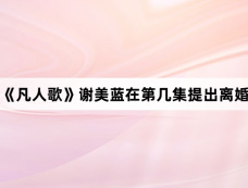 《凡人歌》谢美蓝在第几集提出离婚