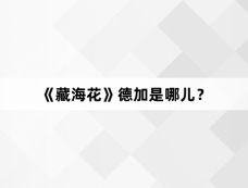 《藏海花》德加是哪儿？