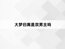 大梦归离是双男主吗