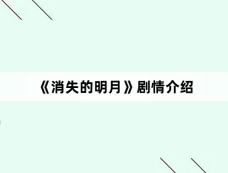 《消失的明月》剧情介绍