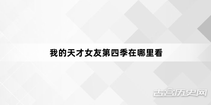 我的天才女友第四季在哪里看