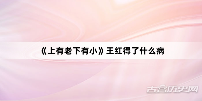 《上有老下有小》王红得了什么病