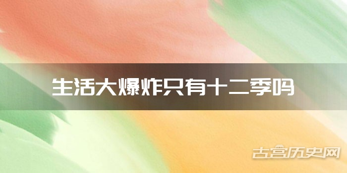 生活大爆炸只有十二季吗