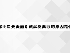 《你比星光美丽》黄薇薇离职的原因是什么