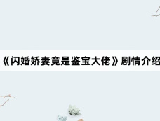 《闪婚娇妻竟是鉴宝大佬》剧情介绍