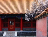 故宫内有哪些著名景点