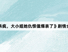 《杀疯，大小姐她仇恨值爆表了》剧情介绍