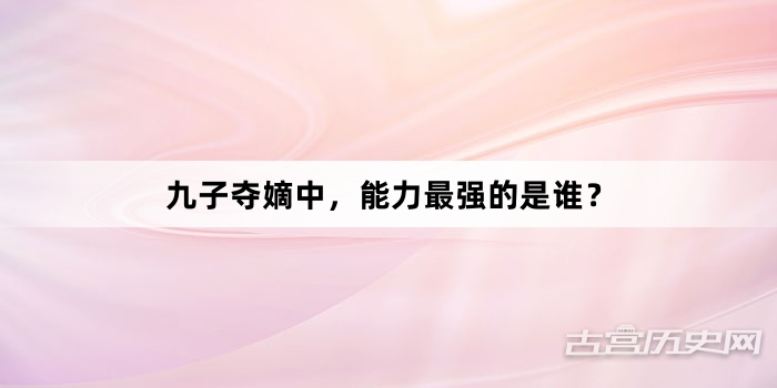 九子夺嫡中，能力最强的是谁？