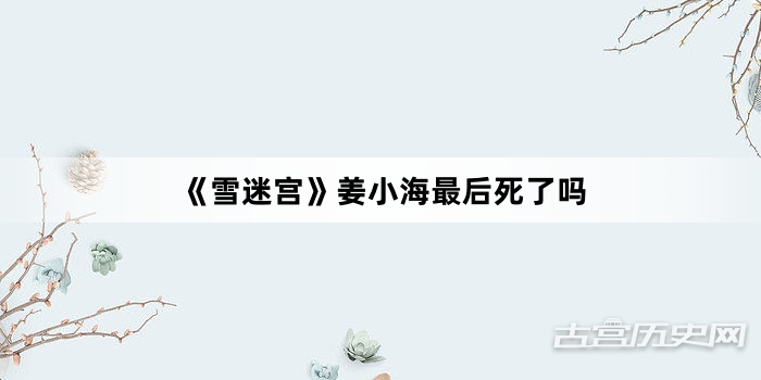 《雪迷宫》姜小海最后死了吗