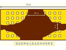 汉朝农业耕作方式