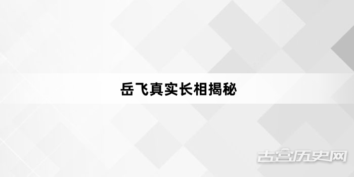 岳飞真实长相揭秘