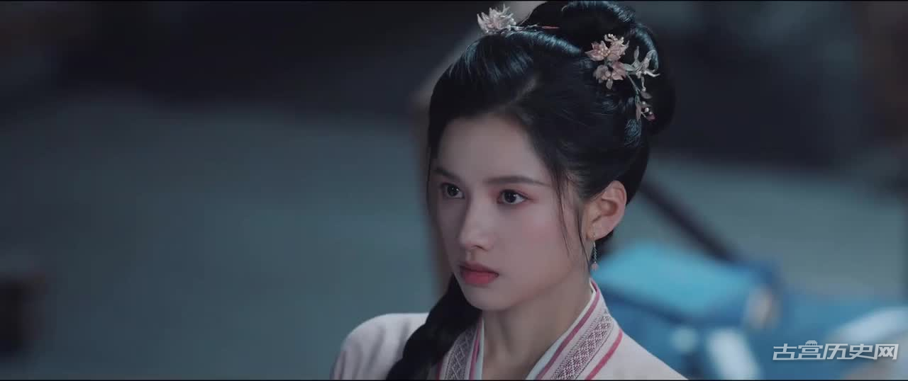 《惜花芷》花家被抄家的原因