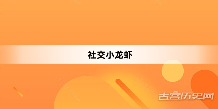 “社交小龙虾”网络梗词解释