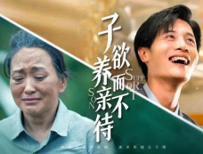 《子欲养而亲不待》部分内容介绍