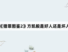 《猎罪图鉴2》方凯毅是好人还是坏人