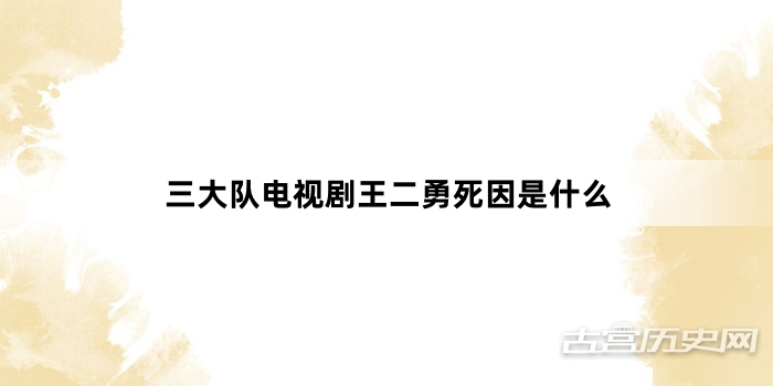 三大队电视剧王二勇死因是什么