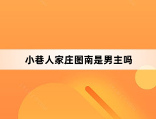 小巷人家庄图南是男主吗