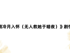 《他拥冷月入怀(无人救她于暗夜)》剧情介绍