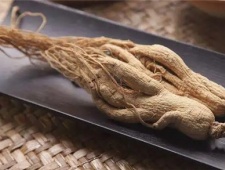 朱元璋为什么禁止明朝皇室吃人参