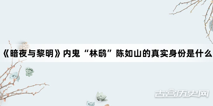 《暗夜与黎明》内鬼“林鸱”陈如山的真实身份是什么