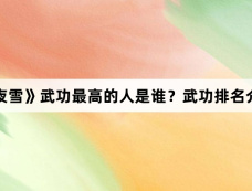 《七夜雪》武功最高的人是谁？武功排名介绍？