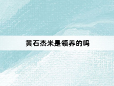 黄石杰米是领养的吗