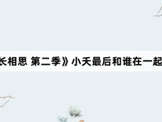 《长相思 第二季》小夭最后和谁在一起了