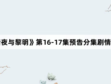 《暗夜与黎明》第16-17集预告分集剧情介绍