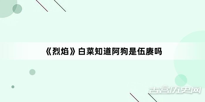 《烈焰》白菜知道阿狗是伍赓吗