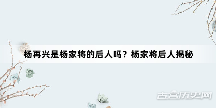 杨再兴是杨家将的后人吗？杨家将后人揭秘
