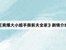 《爽爆大小姐手撕前夫全家》剧情介绍