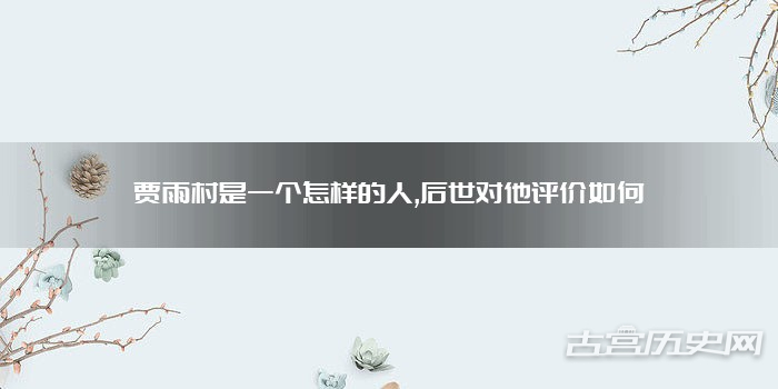 贾雨村是一个怎样的人,后世对他评价如何