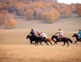 蒙古族赛马文化