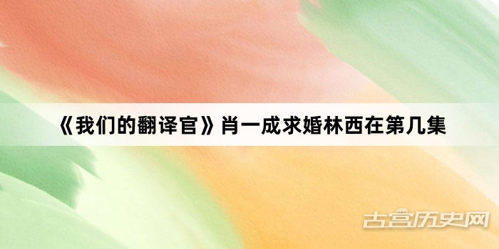《我们的翻译官》肖一成求婚林西在第几集
