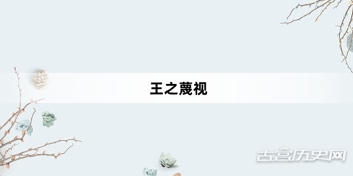 “王之蔑视”网络梗词解释