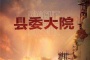 《县委大院》讲了什么