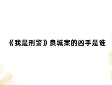 《我是刑警》良城案的凶手是谁