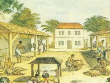 烟草是什么时候传入中国的