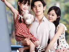 《十一年等雪来》剧情介绍