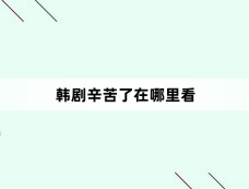 韩剧辛苦了在哪里看