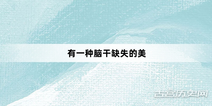 “有一种脑干缺失的美”网络梗词解释